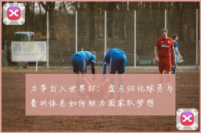 力争打入世界杯：盘点归化球员与青训体系如何助力国家队梦想