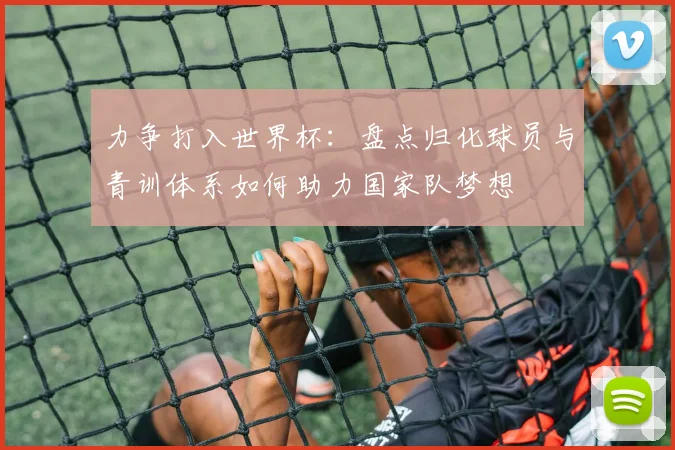 力争打入世界杯：盘点归化球员与青训体系如何助力国家队梦想